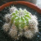 Collecion de ACPlanet