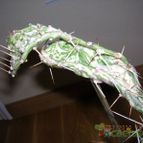Collecion de Blanca