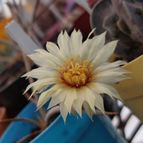 DanielMolina86 : 110