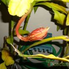 Collecion de Esteban79