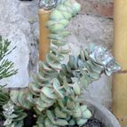 Collecion de Gabi25