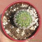 Collecion de Gabi25