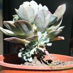 Collecion de Gabi25