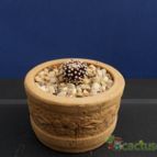 Collecion de Humi
