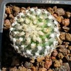 Collecion de JesusBlanco