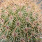 Collecion de JoseGon