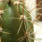 Collecion de JoseGon