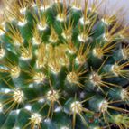 Collecion de Juanmanuel-S-M-