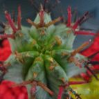 Collecion de KeroS
