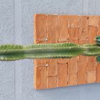 Collecion de Leandro9578