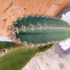 Collecion de Leandro9578