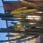 Collecion de Leandro9578