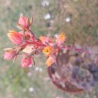 Collecion de Leandro9578