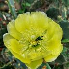 Leandro9578 : 110 Leandro9578 : 110