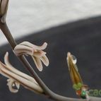 Fotografía tomada por MAURICIO M