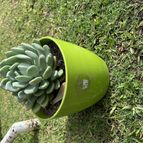 Collecion de Matilde1980