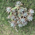 Collecion de Matilde1980