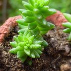 Collecion de MayteDenia