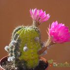 Fotografía tomada por MayteDenia