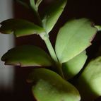 Collecion de MayteDenia