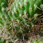 Collecion de MayteDenia