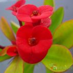 Collecion de MayteDenia