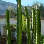 Collecion de MayteDenia