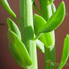 Collecion de MayteDenia