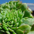 Collecion de MayteDenia