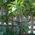 Collecion de MayteDenia