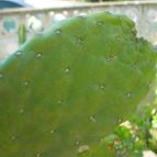 Collecion de MayteDenia