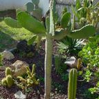 Collecion de MayteDenia