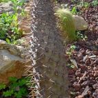 Collecion de MayteDenia