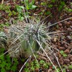 Collecion de MayteDenia