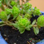Collecion de MayteDenia