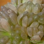 Collecion de MayteDenia