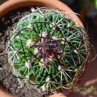 Collecion de MayteDenia