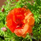 Collecion de MayteDenia