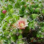Collecion de MayteDenia