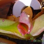 Collecion de MayteDenia