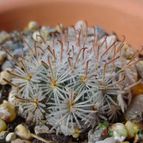 Collecion de MayteDenia