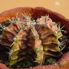 Collecion de MayteDenia