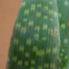 Collecion de MayteDenia
