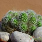 Collecion de MayteDenia