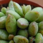 Collecion de MayteDenia