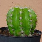 Collecion de MayteDenia