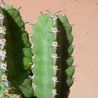 Collecion de MayteDenia