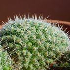 Collecion de MayteDenia