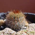 Collecion de MayteDenia