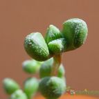 Collecion de MayteDenia
